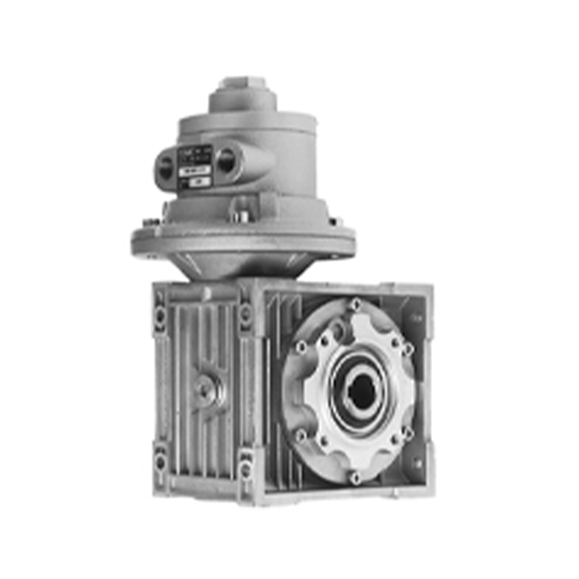 Air motors with worm gear